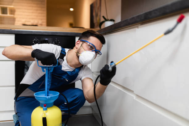 Best Affordable Pest Control Services  in Tulia, TX
