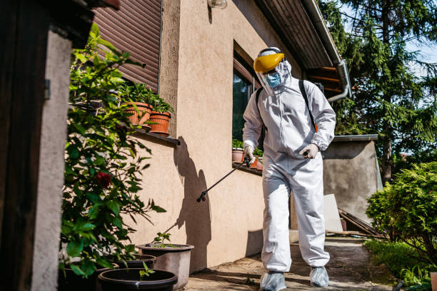 Best Best Pest Control Companies  in Tulia, TX