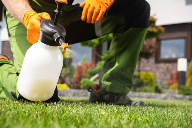 Best Pest Control Near Me in Tulia, TX