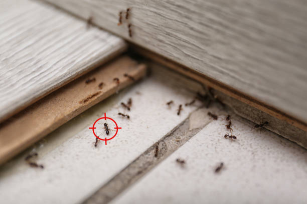 Tulia, TX Pest Control Company