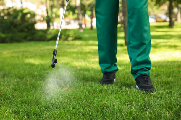 Best Pest Control for Restaurants  in Tulia, TX