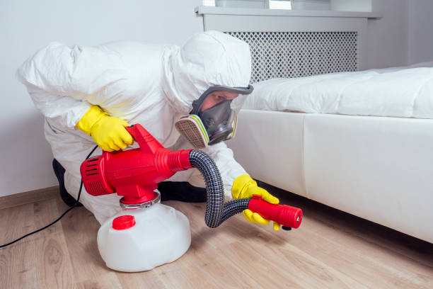 Best Affordable Pest Control Services  in Tulia, TX