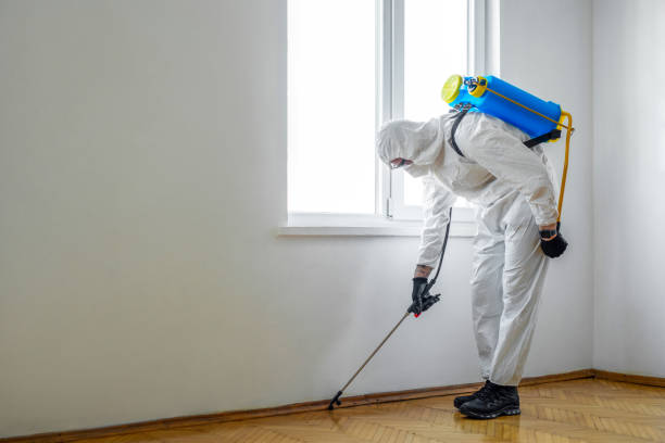 Best Pest Control for Businesses  in Tulia, TX
