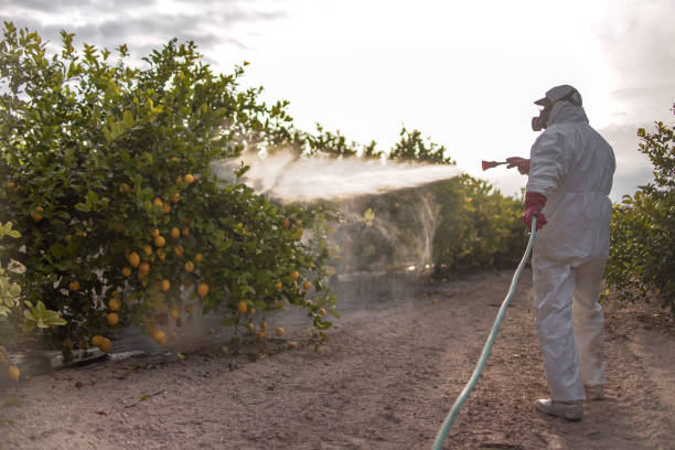 Best Emergency Pest Control  in Tulia, TX