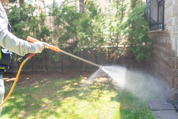 Pest Control for Restaurants in Tulia, TX