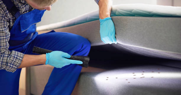 Best Wasp Removal Services  in Tulia, TX