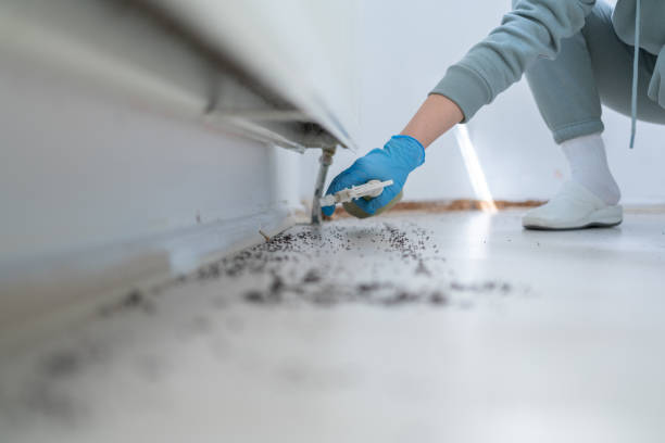 Best Pest Removal Services  in Tulia, TX